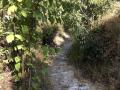 images/Sierra/Camino.jpg
