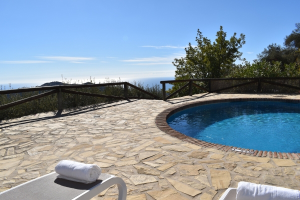 resized - Lagarillo (12)