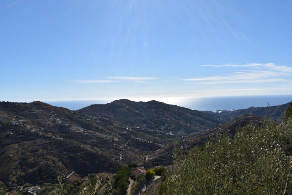 resized - Lagarillo (14)