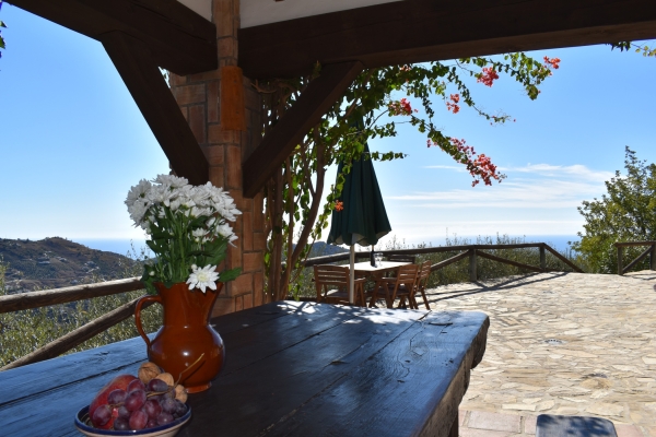 resized - Lagarillo (15)