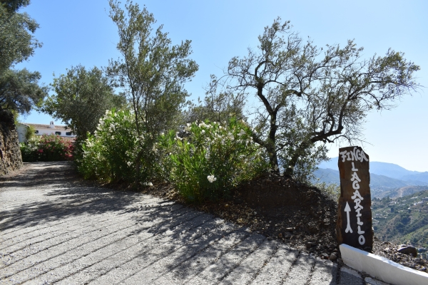 resized - Lagarillo (17)