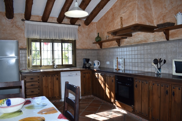resized - Lagarillo (5)