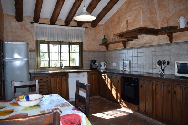 resized - Lagarillo (7)