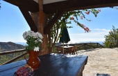 resized - Lagarillo (15)
