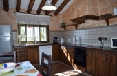 resized - Lagarillo (5)