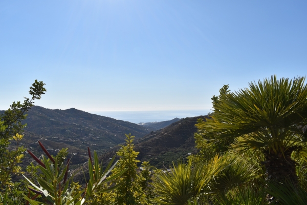 resized - Higueron (10)