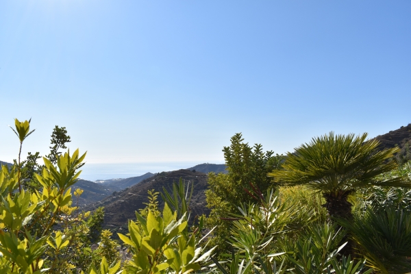 resized - Higueron (11)
