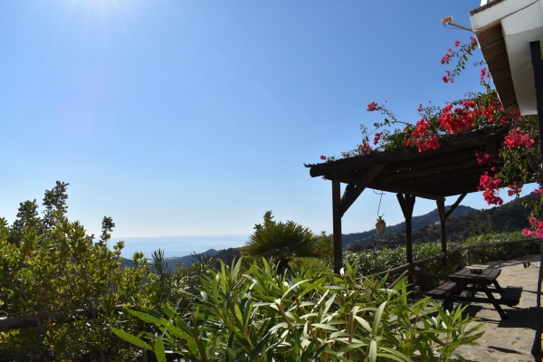 resized - Higueron (13)