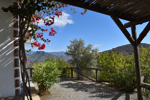 resized - Higueron (9)