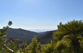resized - Higueron (10)