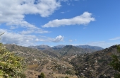 resized - Higueron (12)