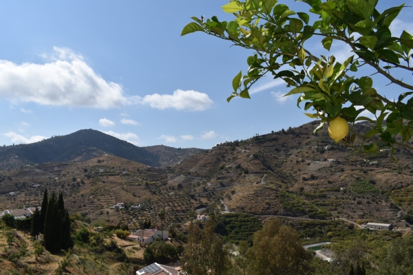 DSC_1061 (Nuevo tamaño 2)