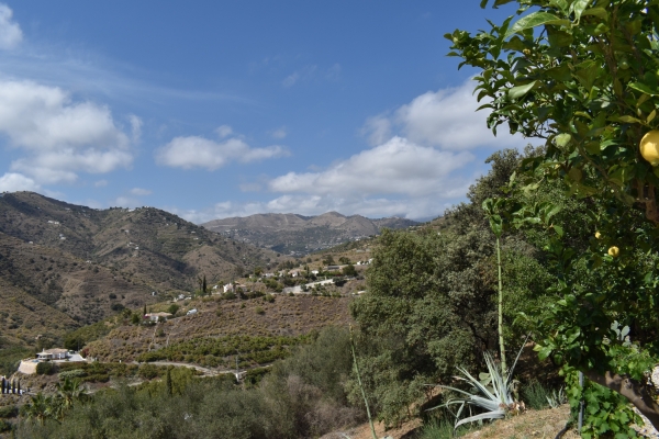 DSC_1062 (Nuevo tamaño 2)