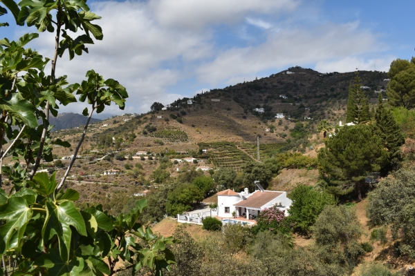 DSC_1090 (Nuevo tamaño 2)