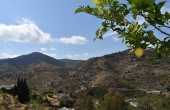 DSC_1061 (Nuevo tamaño 2)