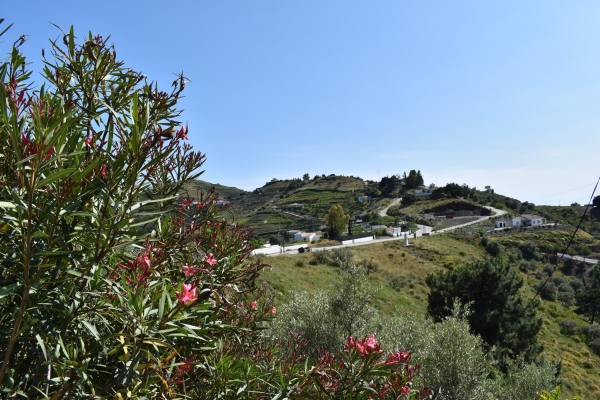 Resized - La Jara (23)