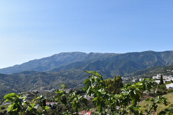 Resized - La Jara (24)