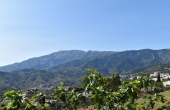 Resized - La Jara (24)