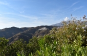 resized fras22 (4)